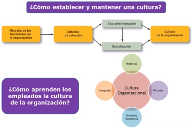 cultura organizacional, establecimiento y aprendizaje