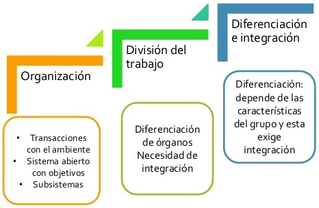 diferenciacion e integracion organizacional