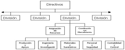 estructura divisional