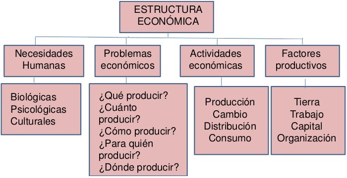 estructura economica