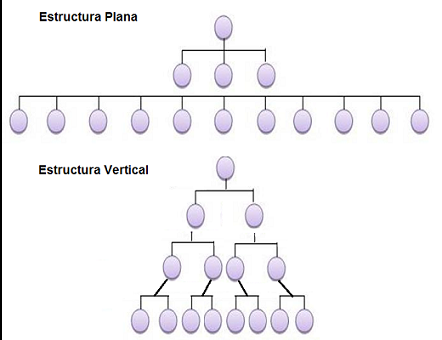 estructura organizativa vertical