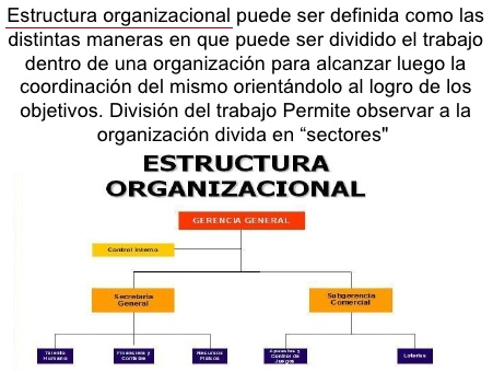 definicion de la estructura organizacional