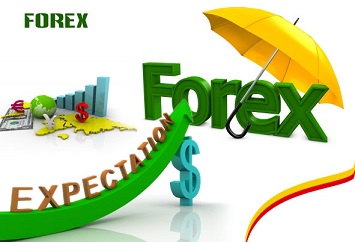 Forex se exchange