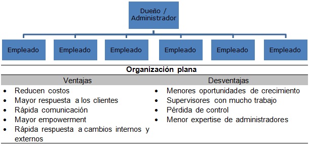 organizaciones planas