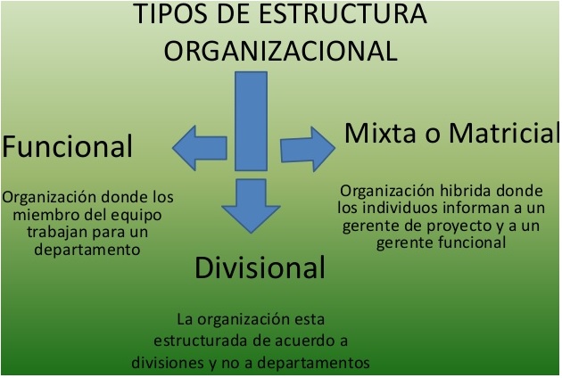 tipos de estructuras organizacionales